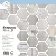 Elizabeth Crafts Design - 12x12 Paper Pack - Backgrounds Volume 5