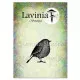 Lavinia Clear Stamps - Bobby
