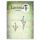 Lavinia Clear Stamps - Thyme