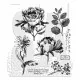 Cling Stamps by Tim Holtz - French Garden