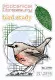Clear Stamp Set - Bird Study