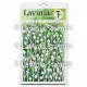 Lavinia Stencils - Berry
