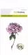 Clear Stamps - Botanical Rose