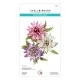 Spellbinders - Cutting Dies - Serenity Garden - Astrantiaby Susan Tierney-Cockburn