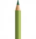 Polychromos - Earth Green Yellowish