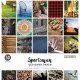 Sportsman 12x12 Paper Pad