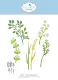 Metal Cutting Die - Bloom Wildly - Floral Greenery 4