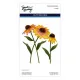 Simon Hurley - Cutting Dies - Cascading Coneflowers - Wild Coneflowers by Simon Hurley