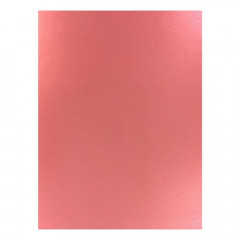 Tonic Mirror Card Gloss - Italian Rose