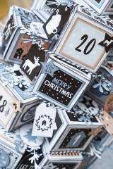 Studio Light DIY Advent calendar Scandinavian Christmas Essentials Nr. 29