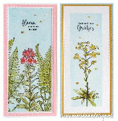 Clear Stamps - Tiny‘s Borders - Euphorbia