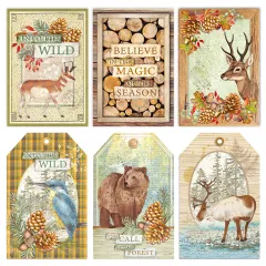 Into the Wild - 6x6 Vellum Fussy Cut Pad