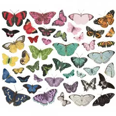 Simple Vintage Essentials - Color Palette - Butterfly - Bits & Pieces
