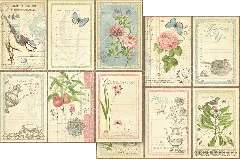 Botanical Tea - Keepsake Kit with Exclusive Metal Die