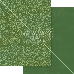 Wonder of Oz - 8,5x11 Patterns & Solids Pack