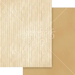 Always & Forever - 8,5x11 Patterns & Solids Pack