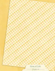 Slice of Life - 8,5x11 Patterns & Solids Pack