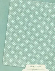 Slice of Life - 8,5x11 Patterns & Solids Pack