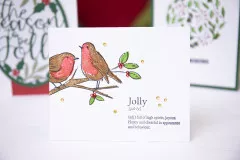 Sizzix Layered Clear Stamps - Garden Birds by Josh Griffiths