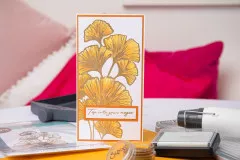 Sizzix Clear Stamps by Stacey Park - Cosmopolitan - Inspire