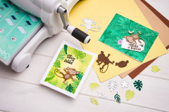 Sizzix - Clear Stamps by Catherine Pooler - Stay Wild