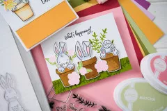 Sizzix - Clear Stamps by Catherine Pooler - Sending Sunshine Sentiments