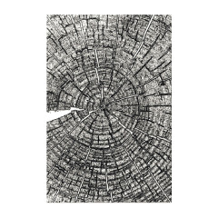 Geprägtes Papier mit detailgetreuem Baumring-Muster im Holzlack-Design