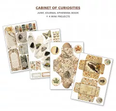 Cabinet of Curiosities - A4 Junk Journal Ephemera Book