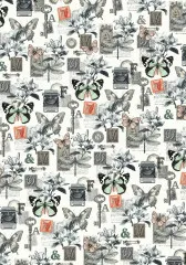 Typographic - A4 Deluxe Paper - Pearl Copper & Vellum Dual Pack Mixed