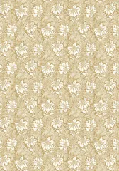 Typographic - A4 Deluxe Paper - Pearl Copper & Vellum Dual Pack Mixed