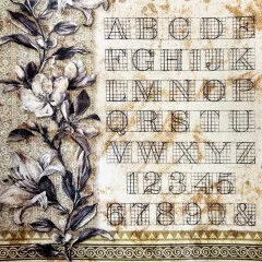 Typographic - 6x6 Deluxe Paper - Pearl Copper & Vellum