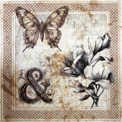 Typographic - 6x6 Deluxe Paper - Pearl Copper & Vellum