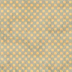 Eastern Journey - 6x6 Deluxe Paper - Silver & Vellum