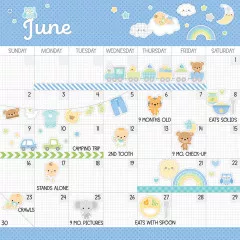 Baby Boy First Year Calendar Kit