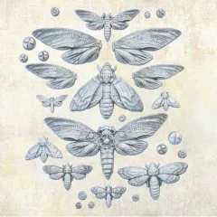 Finnabair Decor Moulds - Nocturnal Insects