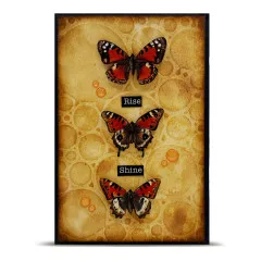 Ephemera Die-Cuts Nr. 88 - Sorbet Petals