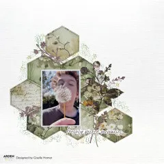 Arden Creative Studio - Clear Stamps - Maker Series - Field Notes Meadow