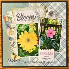 Arden Creative Studio - Ephemera Pack - Field Notes