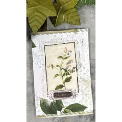Arden Creative Studio - Ephemera Pack - Field Notes