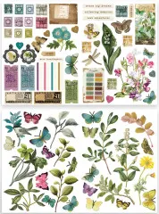 Arden Creative Studio - Laser Cuts - Garden Chronicles by Katie Pertiet