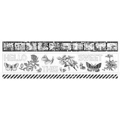 Arden Creative Studio - PET Tape - Field Notes