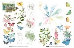 Arden Creative Studio - Rub-On Transfers - Field Notes