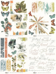 Ansicht aller 8 Bögen des Amber Ledgers Rub-On Transfer-Sets mit Botanicals und Schmetterlingen