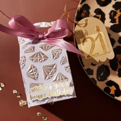 3D Embossing Folder and Stencil Bundle - Born to Sparkle