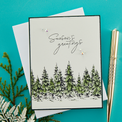 Press Plate & Die Set - Seasons Greetings Evergreens