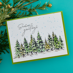 Press Plate & Die Set - Seasons Greetings Evergreens