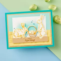 Press Plate & Die Set - Spring Bunnies