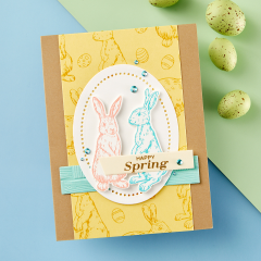 Press Plate & Die Set - Spring Bunnies