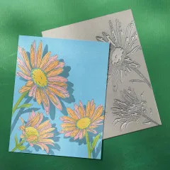 BetterPress Plate - Daisy Trio