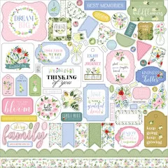 Flora No. 4 12x12 Collection Kit